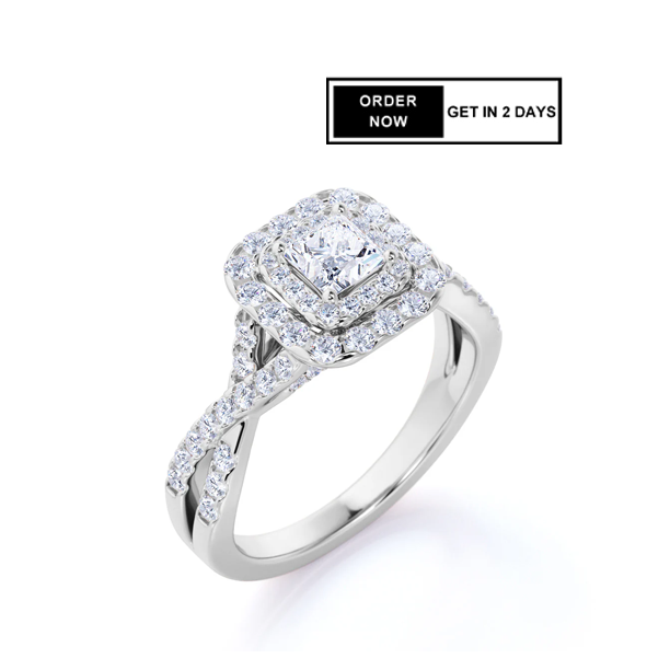 1 Ct Princess Moissanite Double Halo Engagement Ring